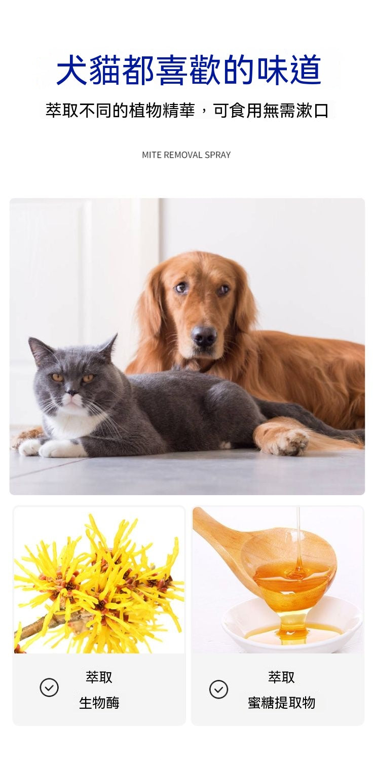 貓犬通用除口臭潔齒工具