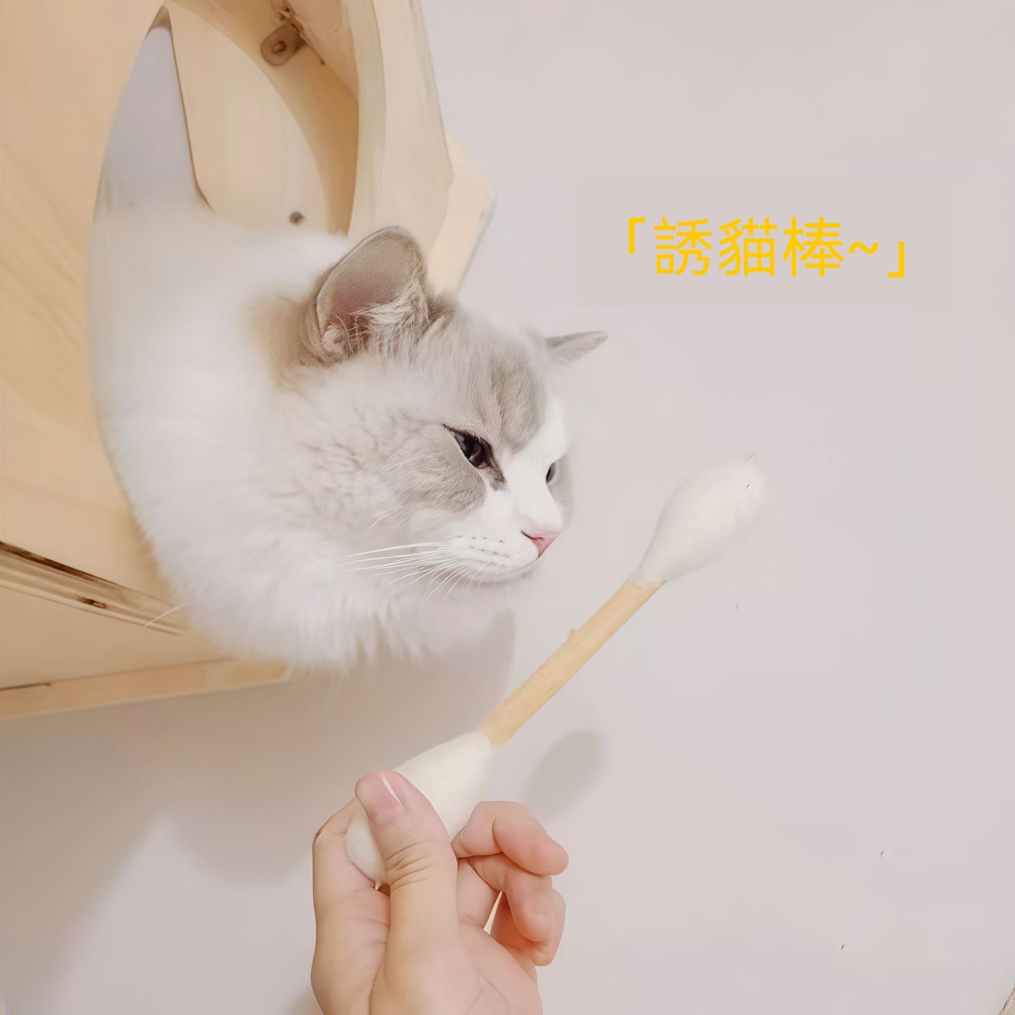 羊毛氈大棉簽逗貓棒