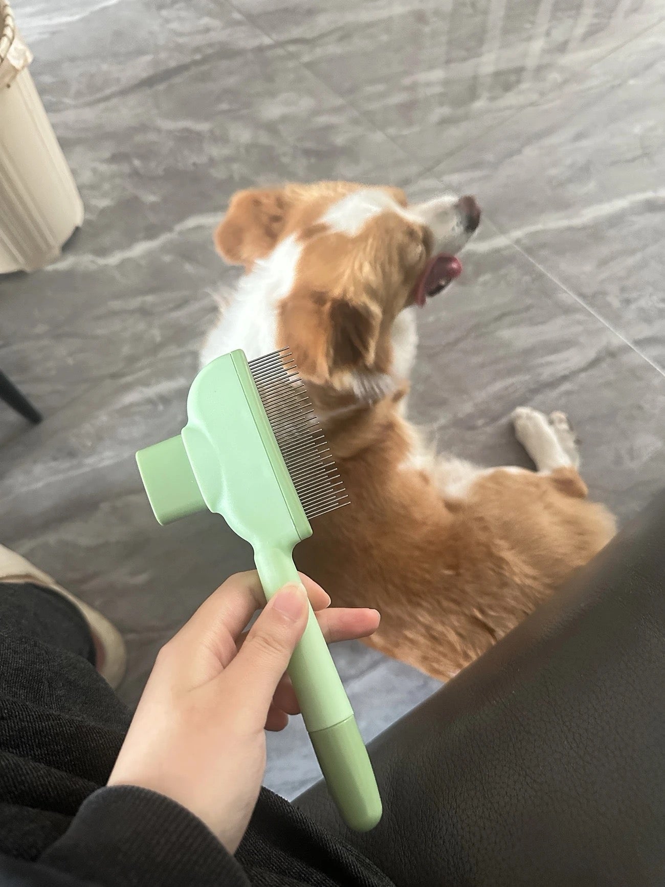 犬貓通用一鍵自潔除毛梳