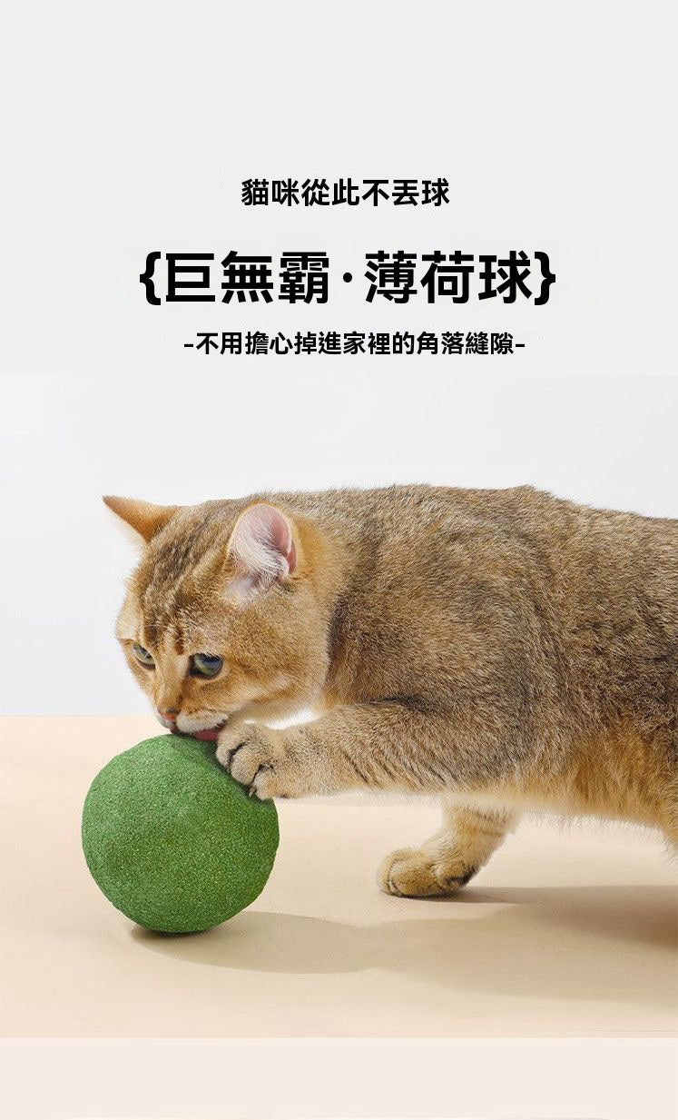 巨無霸貓薄荷球