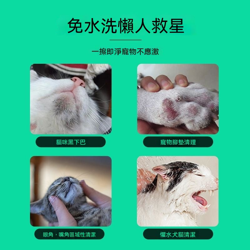 貓咪黑下巴救星免洗泡沫