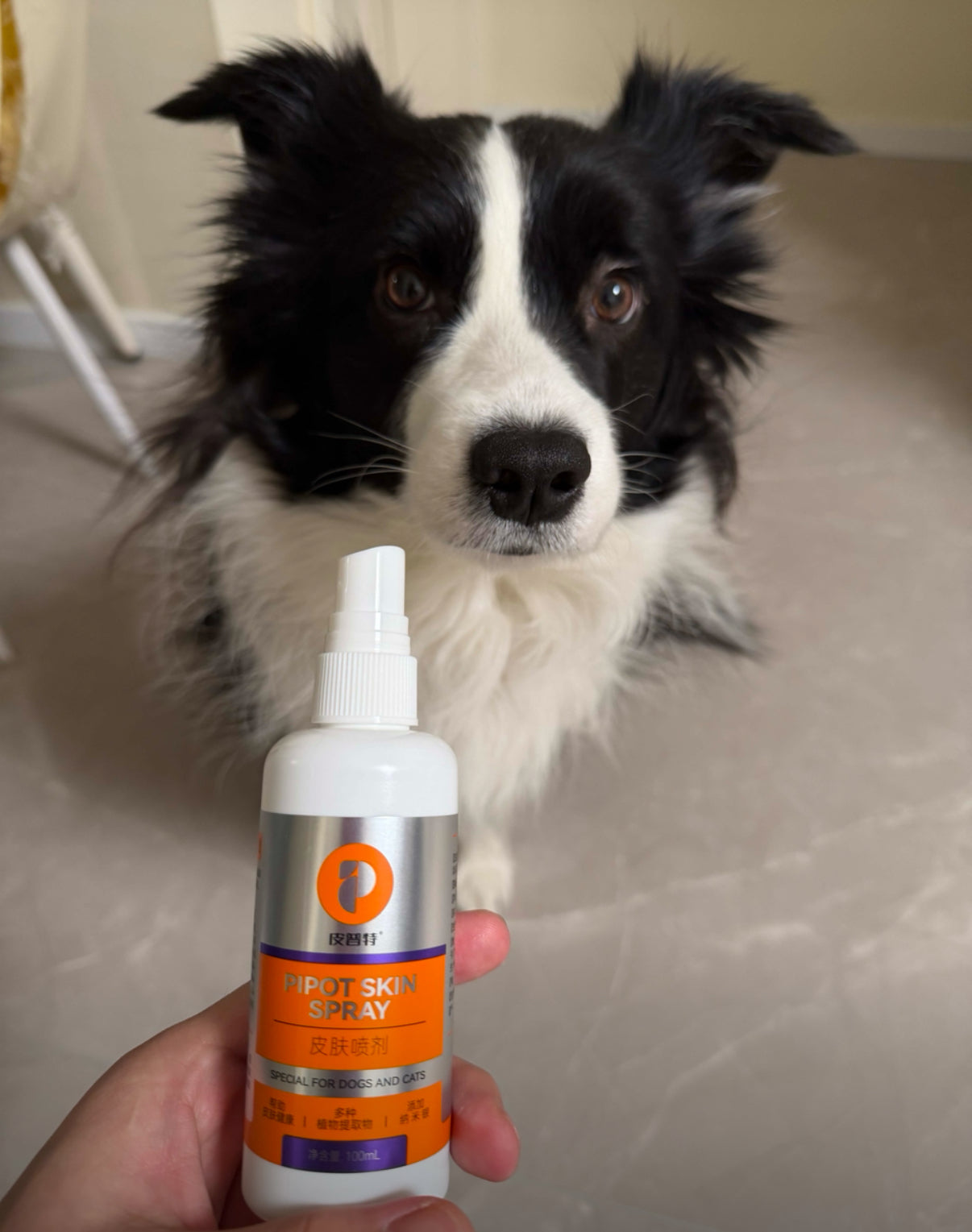 犬貓通用皮膚護理噴劑