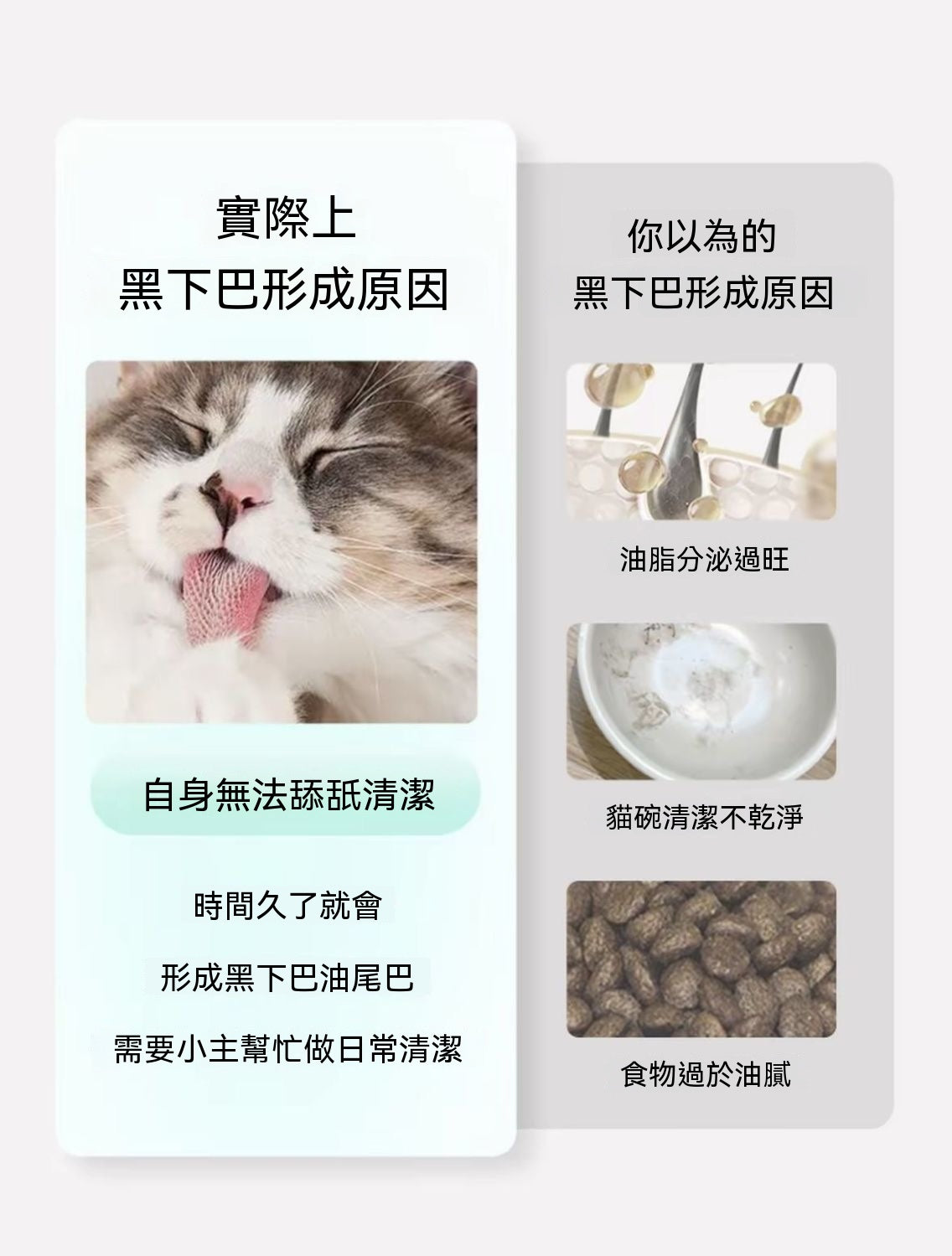 貓咪黑下巴救星免洗泡沫