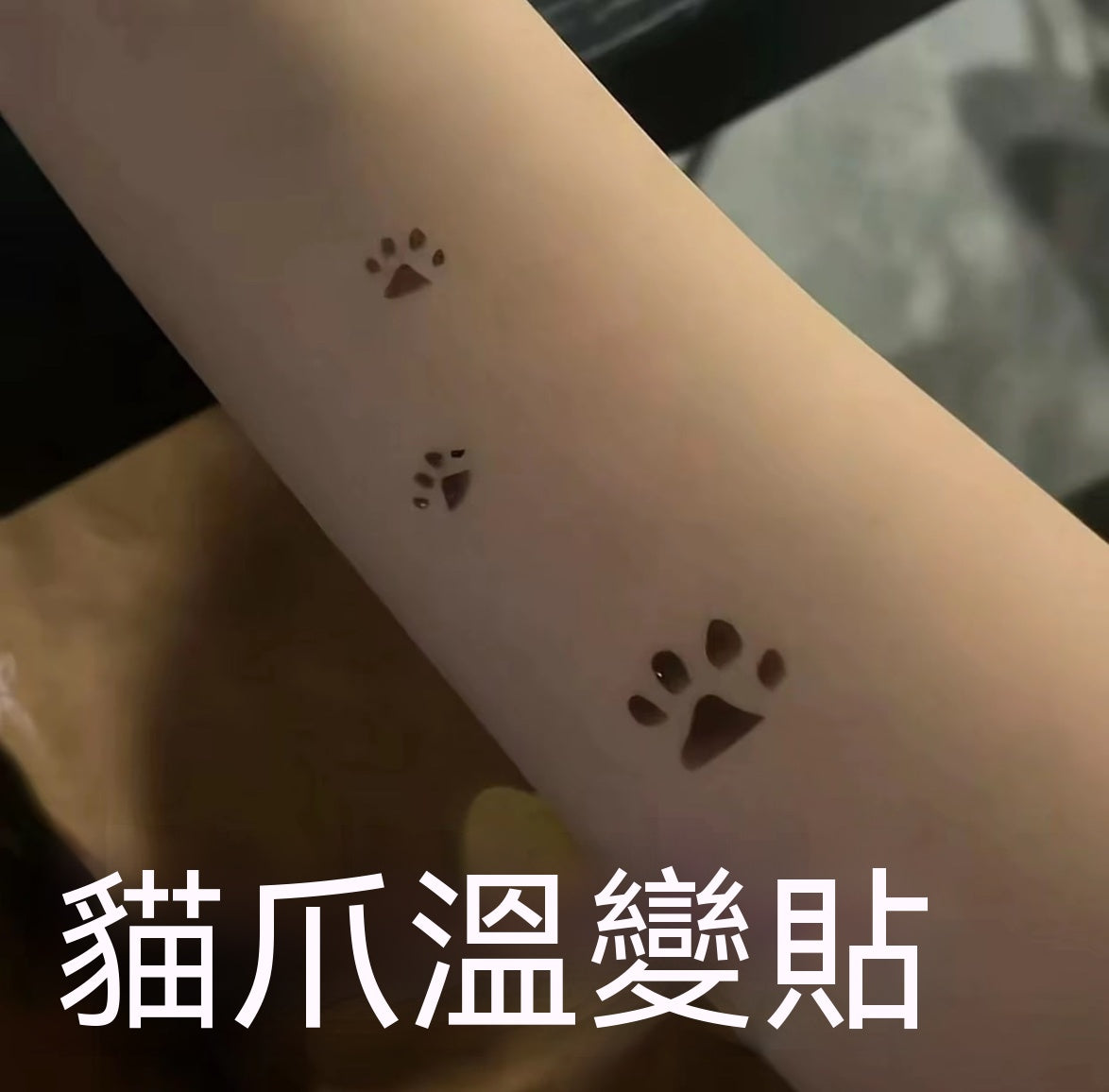貓爪溫變變色紋身貼