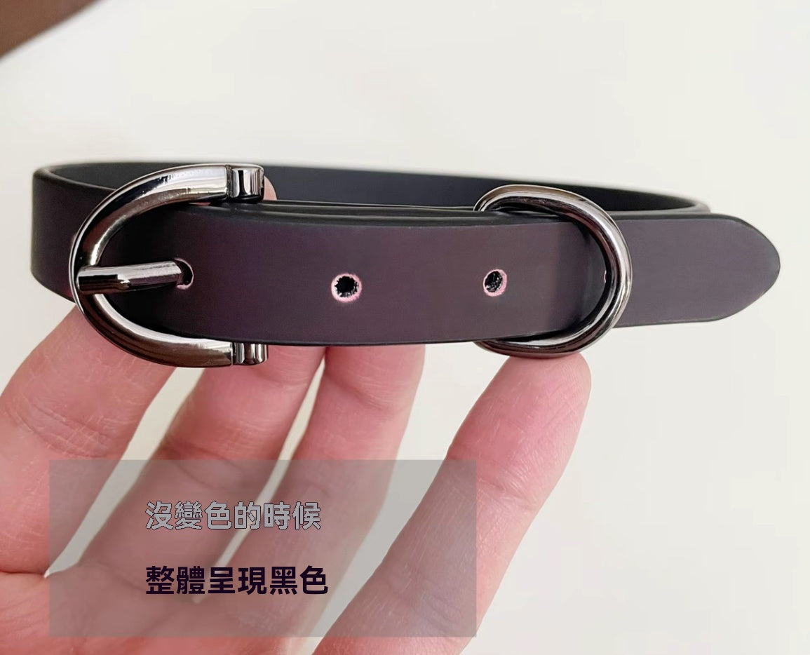 魔法變色鈴鐺頸圈