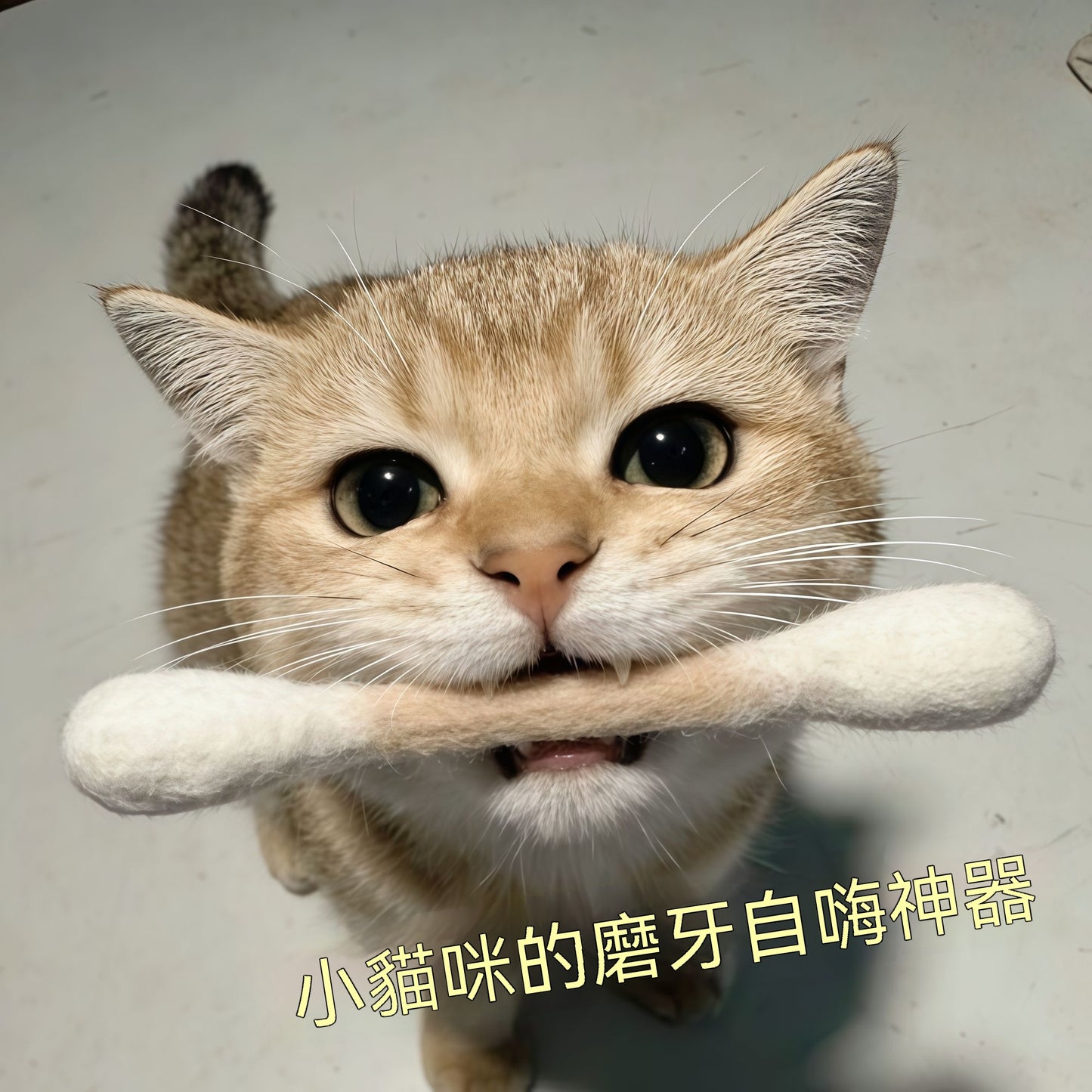 羊毛氈大棉簽逗貓棒