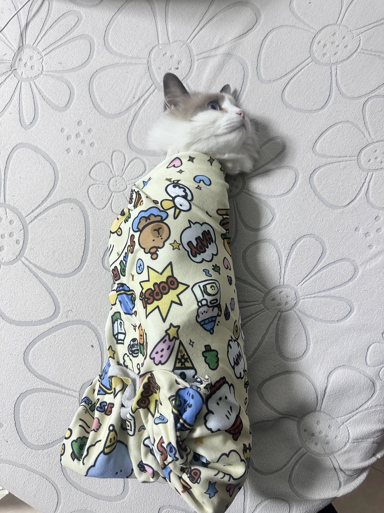 貓咪自粘百貼布（包藥裹貓布）