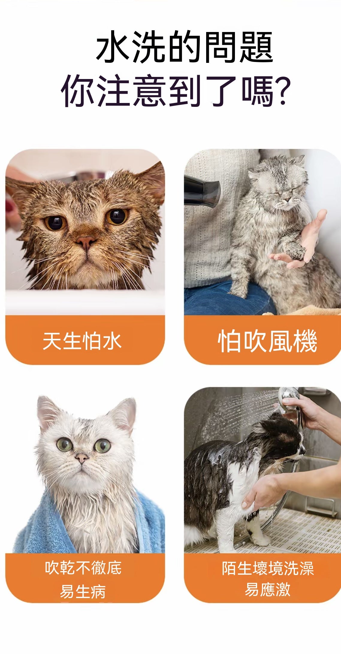 寵物免洗擦浴精華液