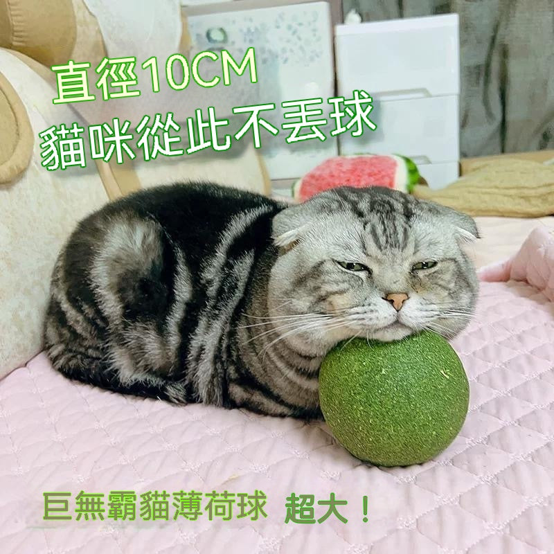 巨無霸貓薄荷球