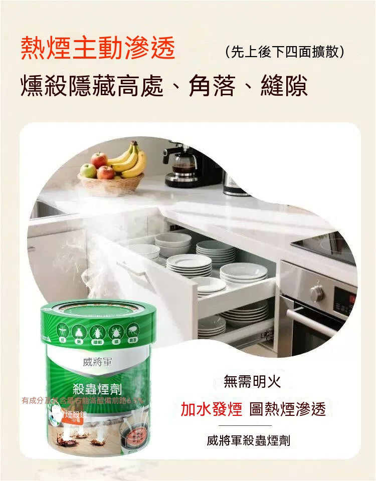 煙霧式殺蟑煙燻劑
