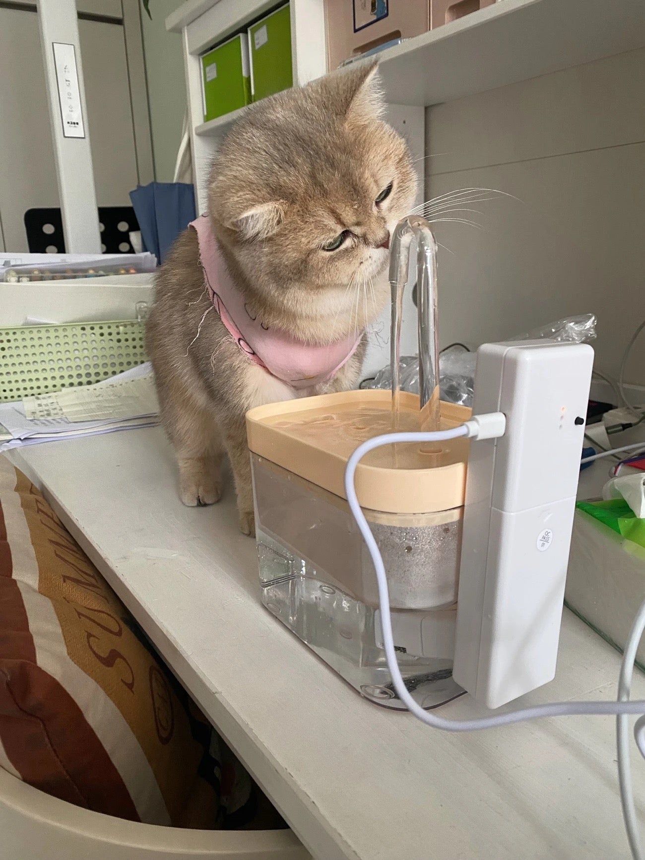 不插電無線充電式寵物飲水機