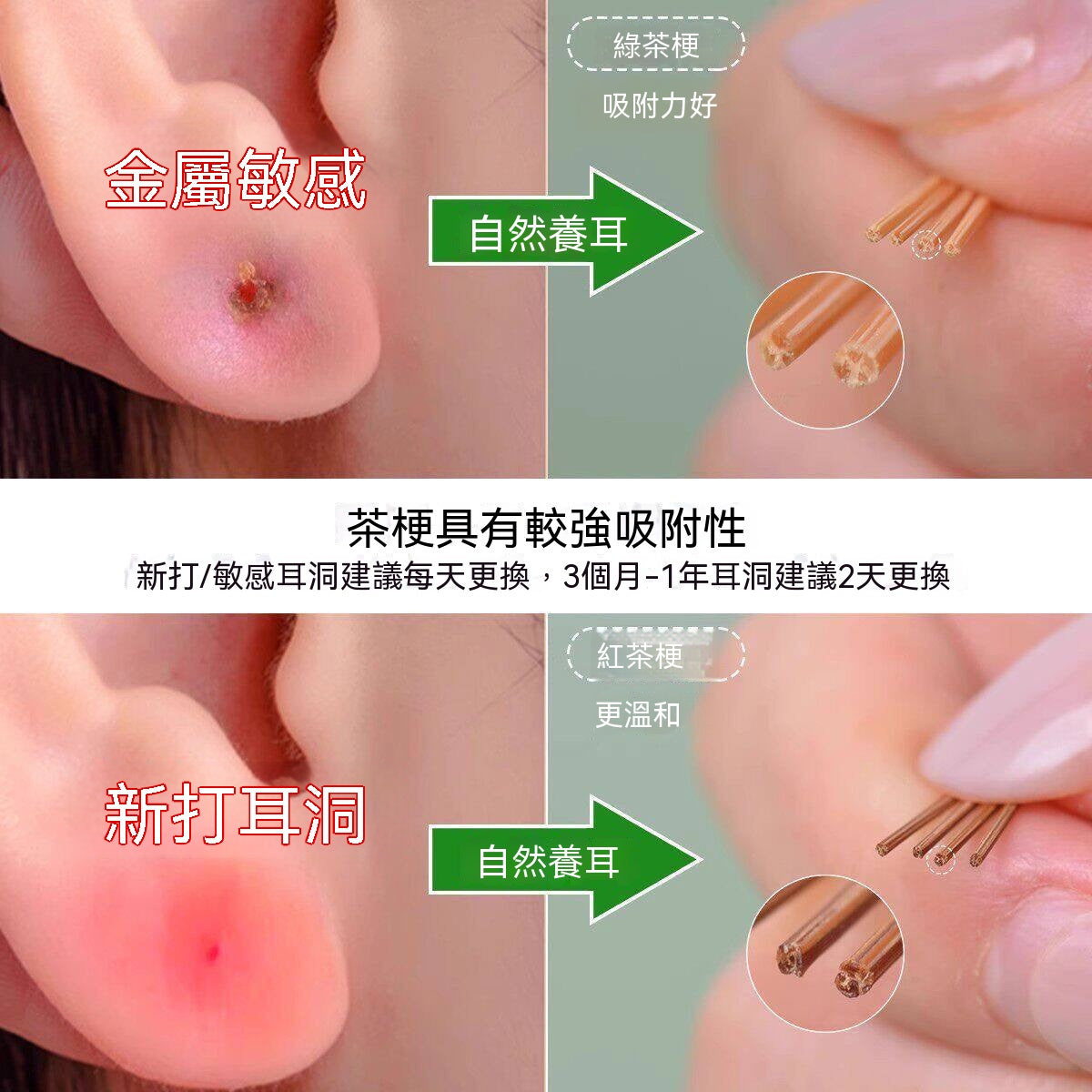 膠囊茶梗耳洞護理棒