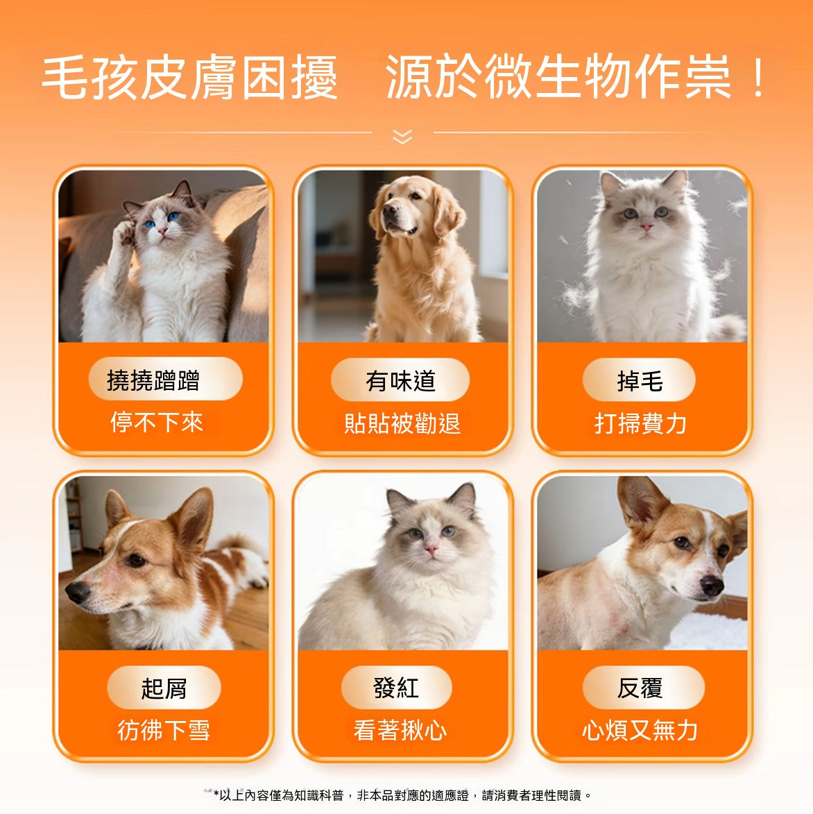 犬貓通用皮膚護理噴劑