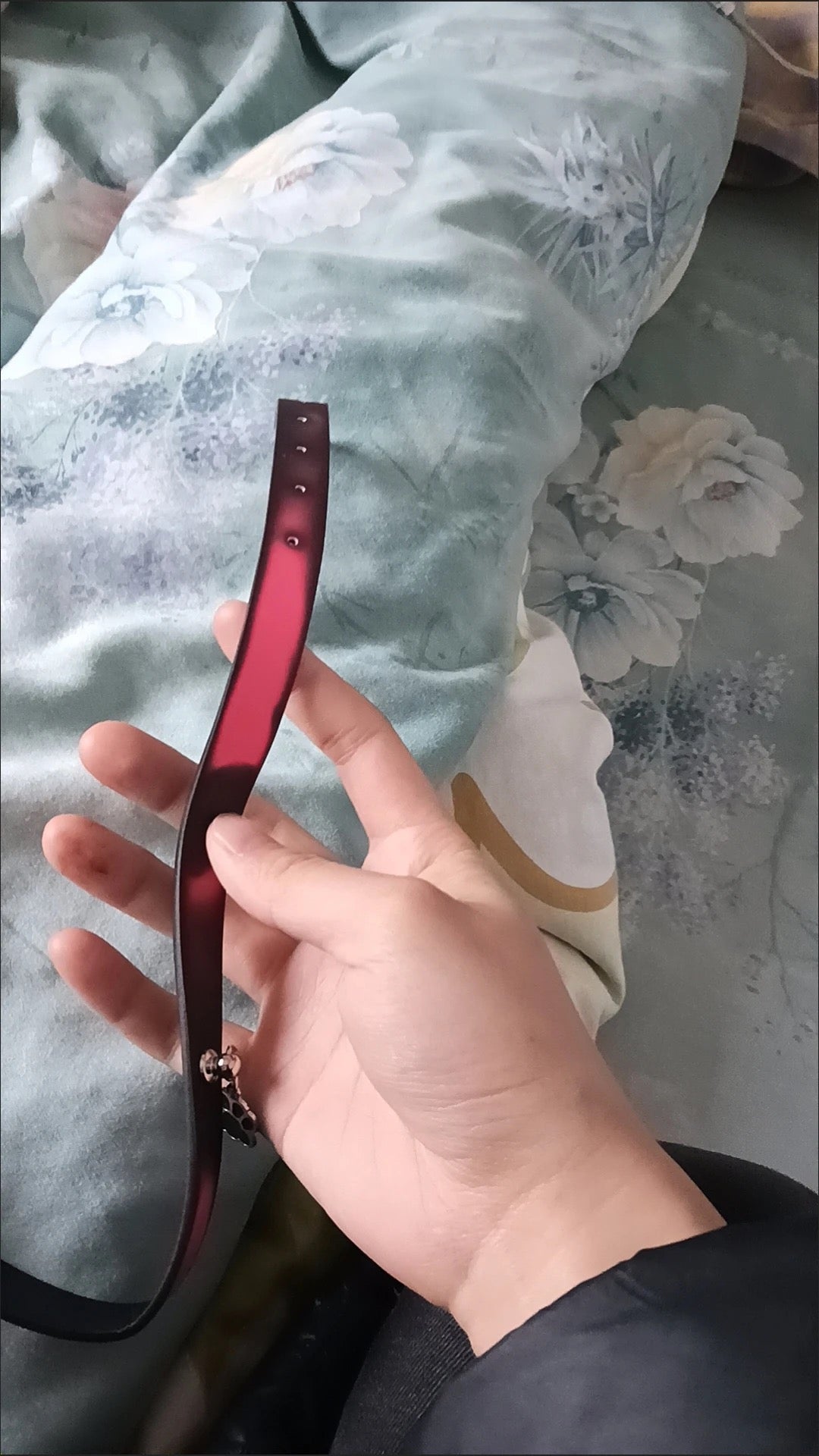 魔法變色鈴鐺頸圈