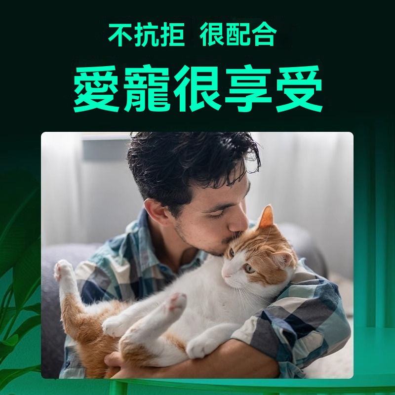 貓咪黑下巴救星免洗泡沫