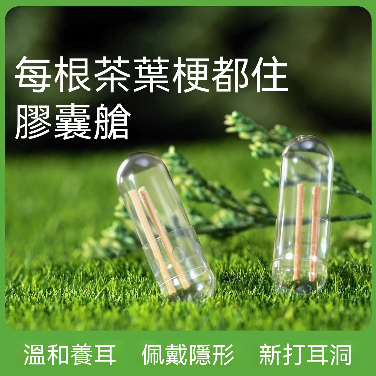 膠囊茶梗耳洞護理棒