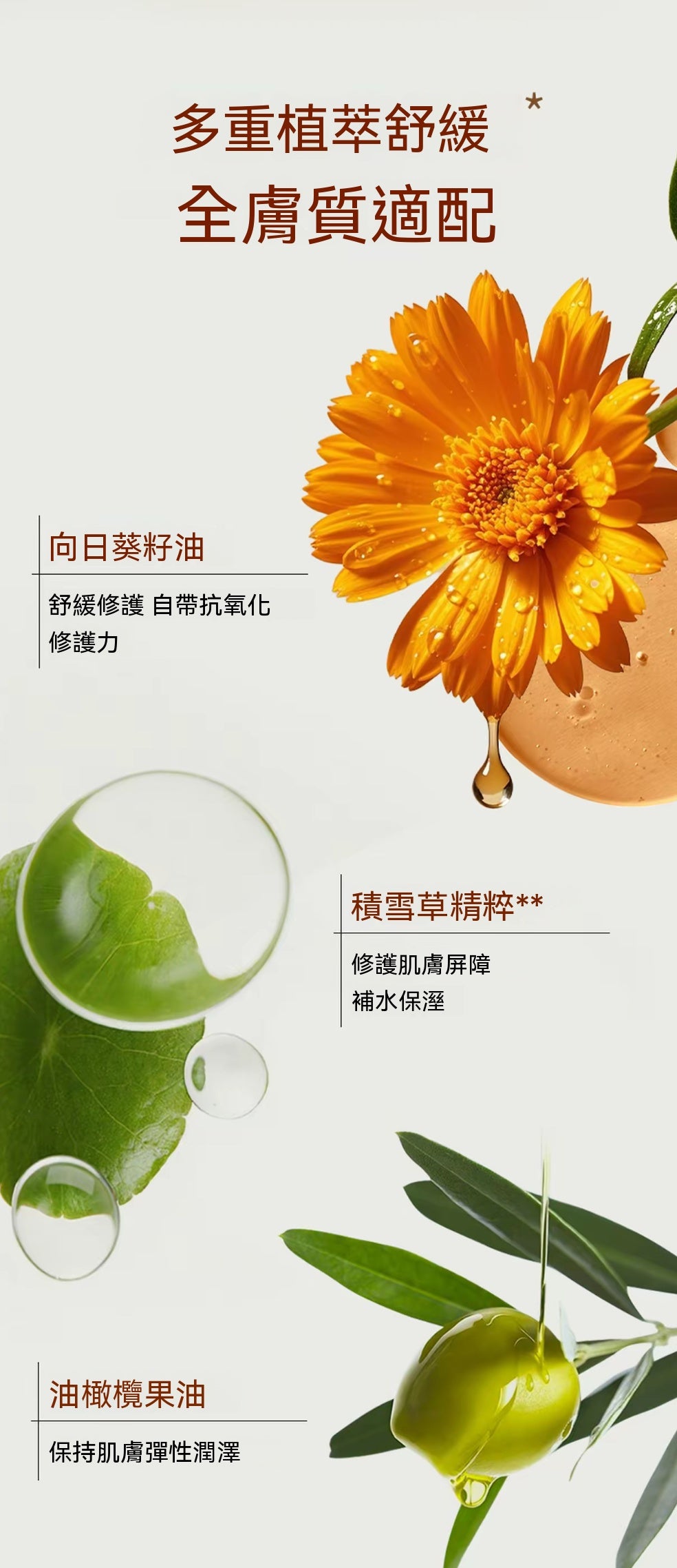 親膚溫和去角質凝露