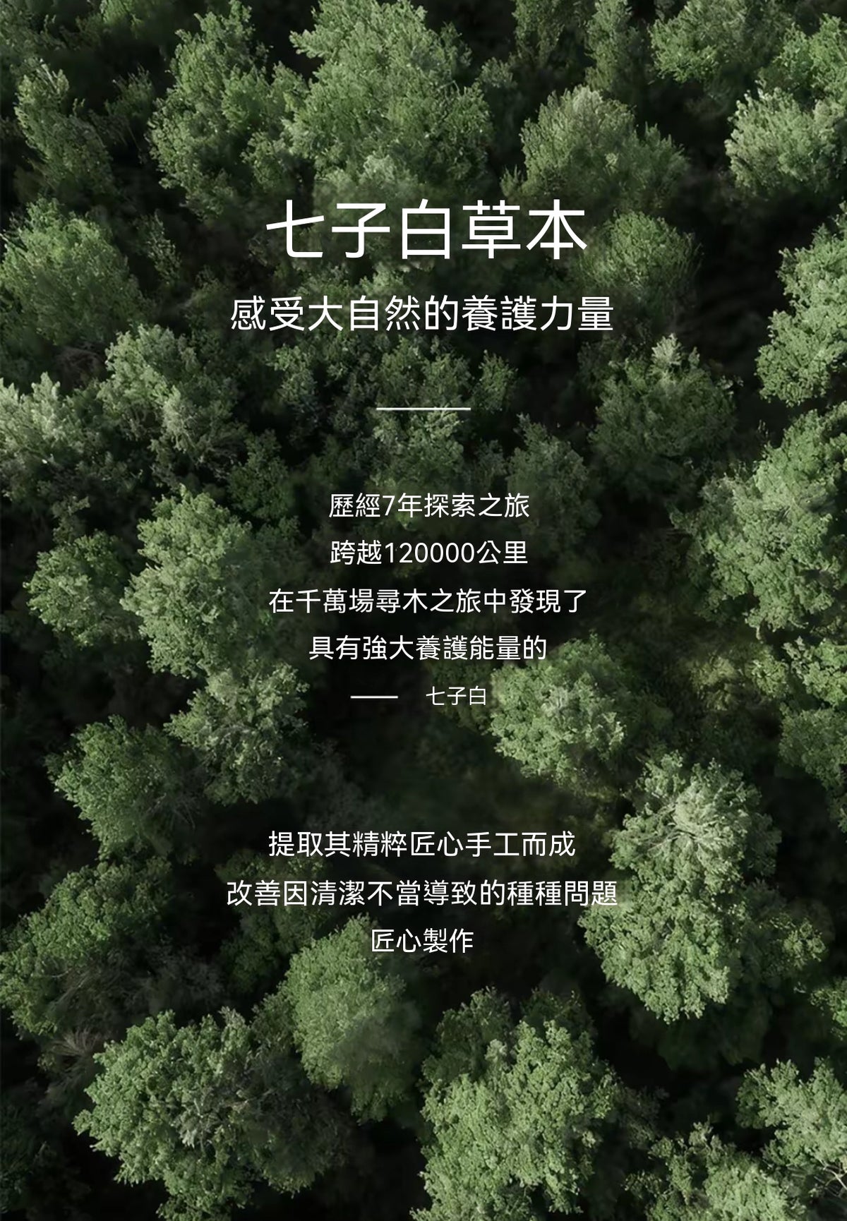 天然草本洗面皂