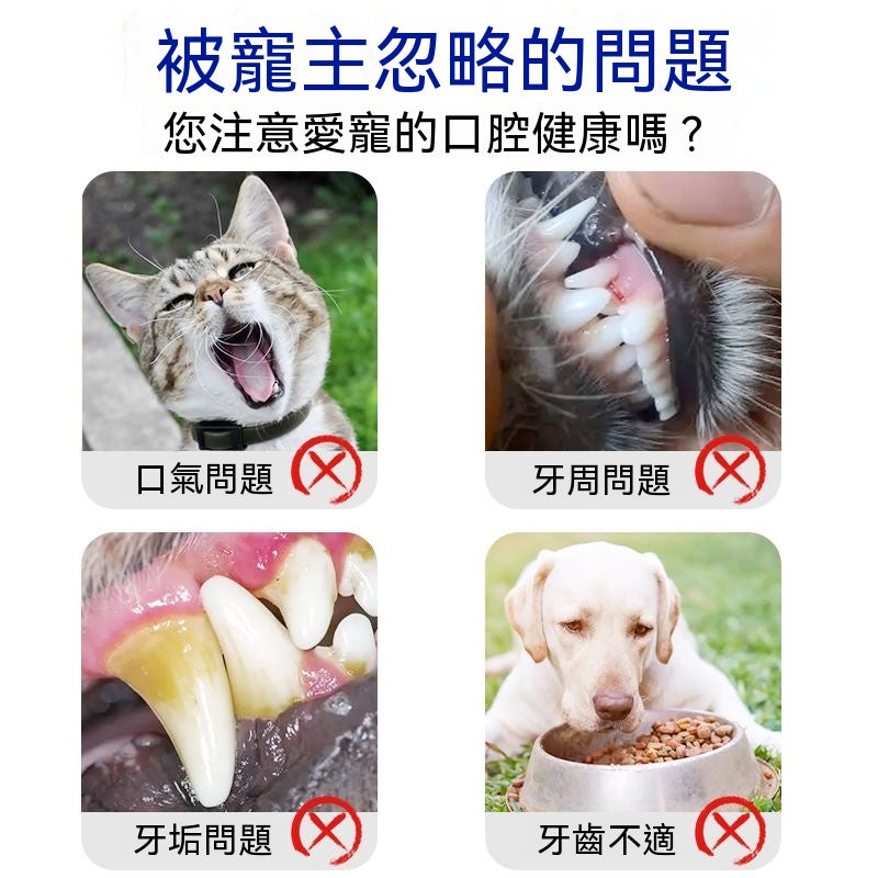 貓犬通用除口臭潔齒工具