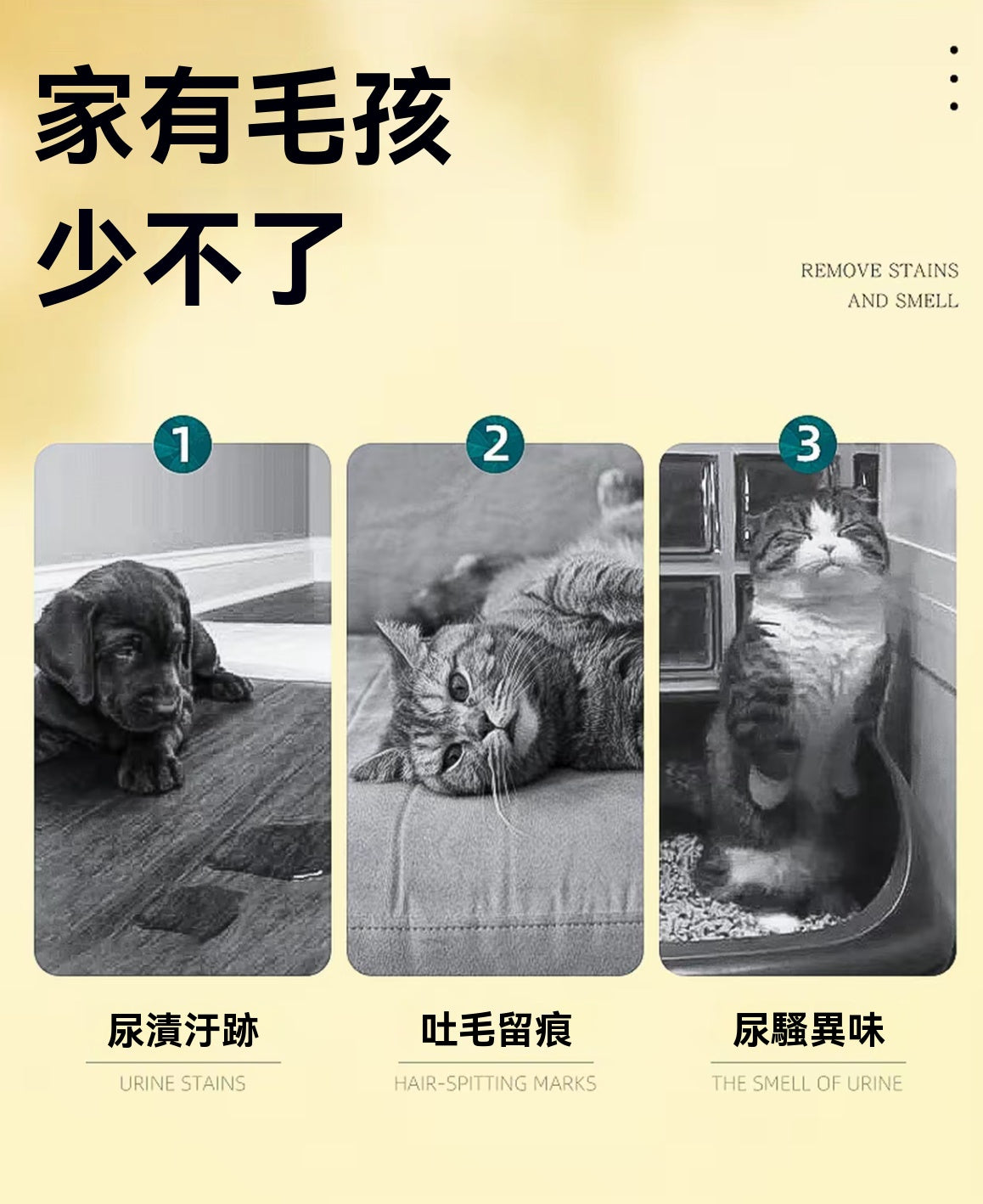 鐵錘寵物除臭去漬噴霧