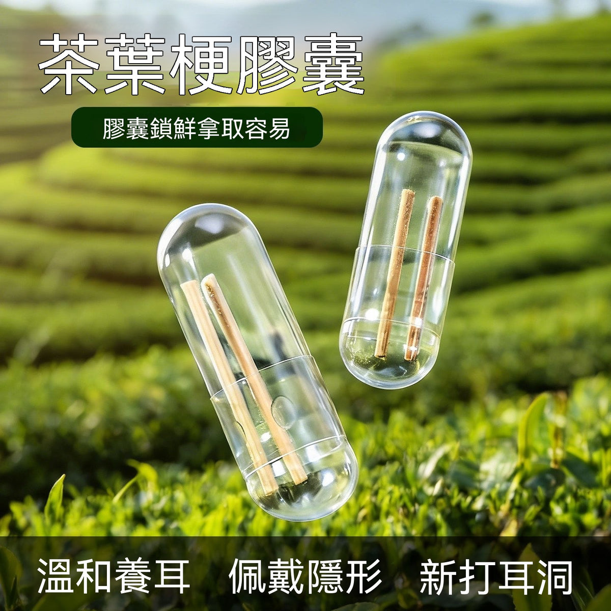 膠囊茶梗耳洞護理棒