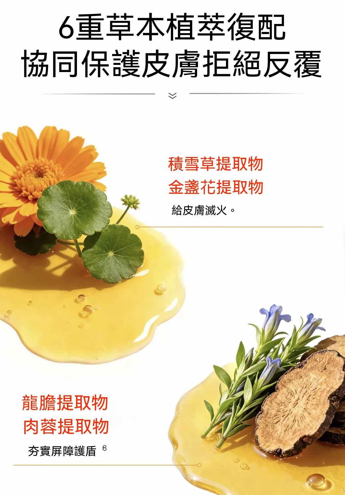 犬貓通用皮膚護理噴劑