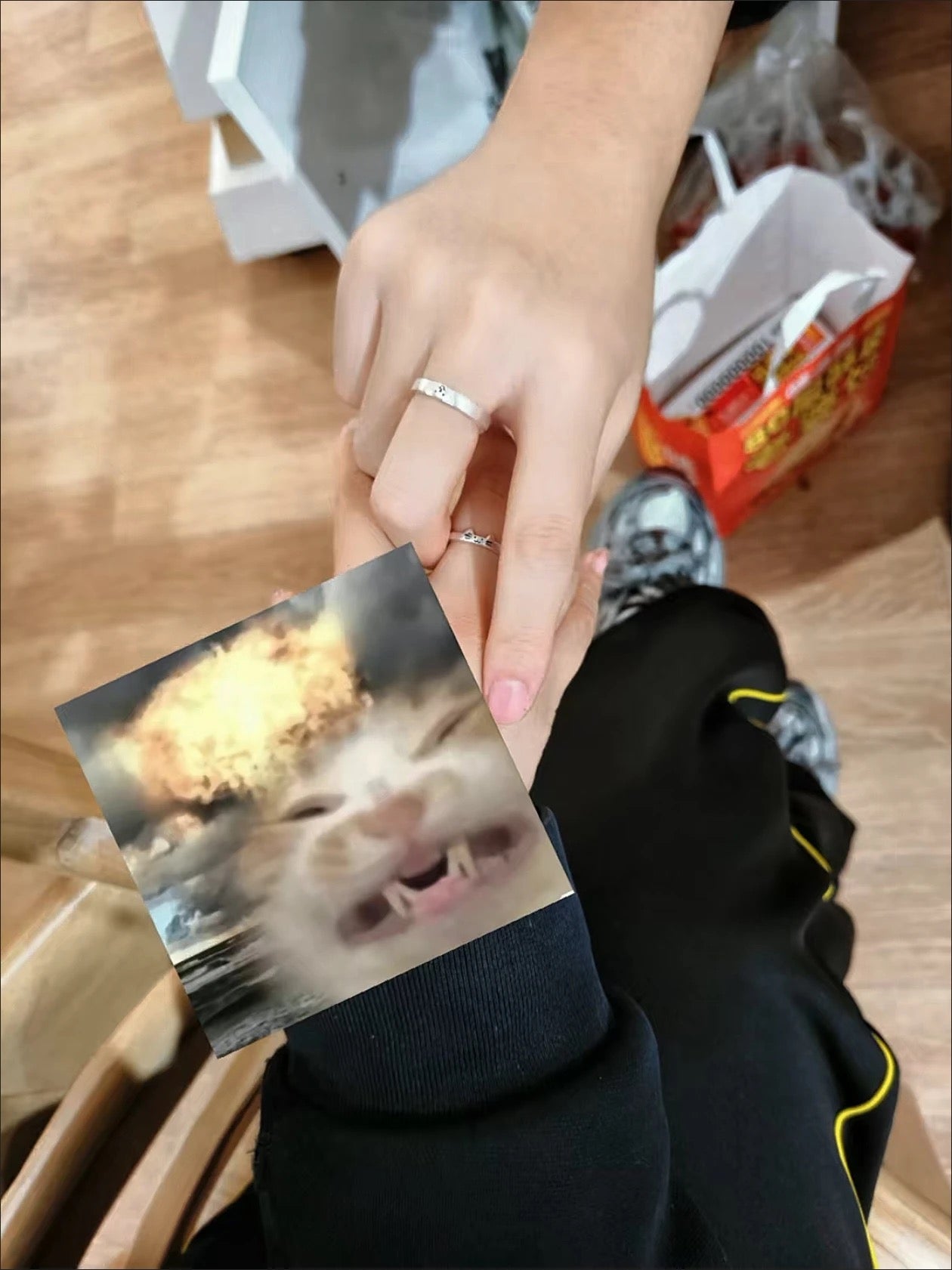 小貓小狗情侶對戒