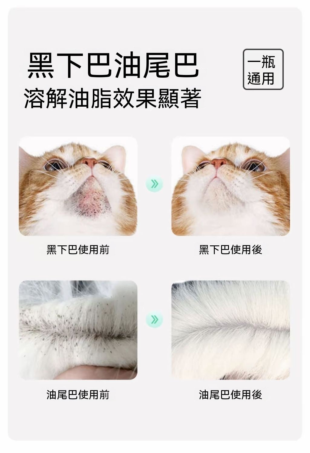 貓咪黑下巴救星免洗泡沫