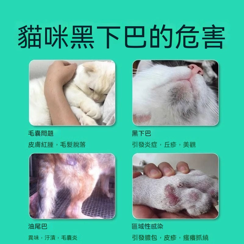 貓咪黑下巴救星免洗泡沫