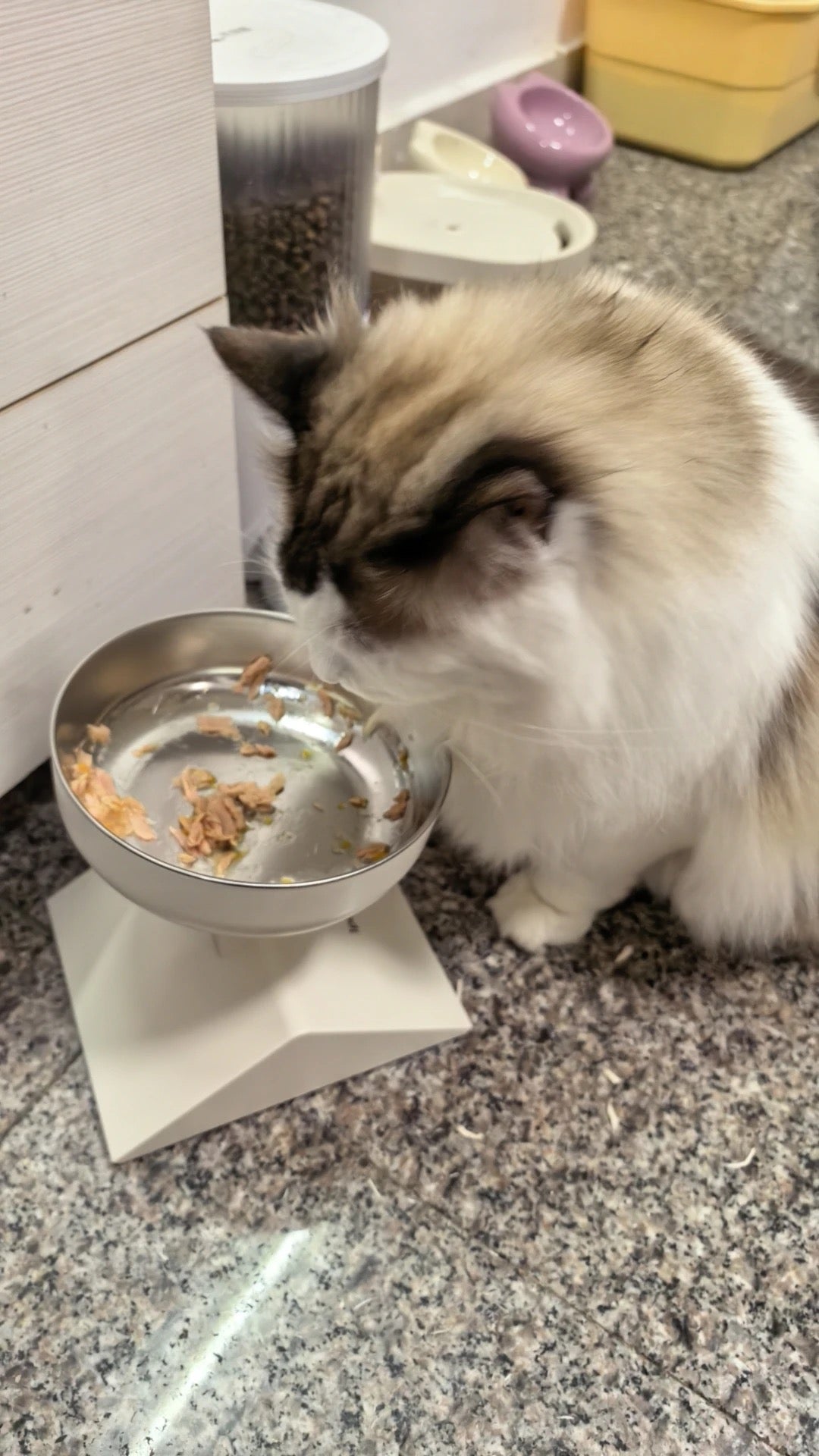 不銹鋼升降式寵物進食碗