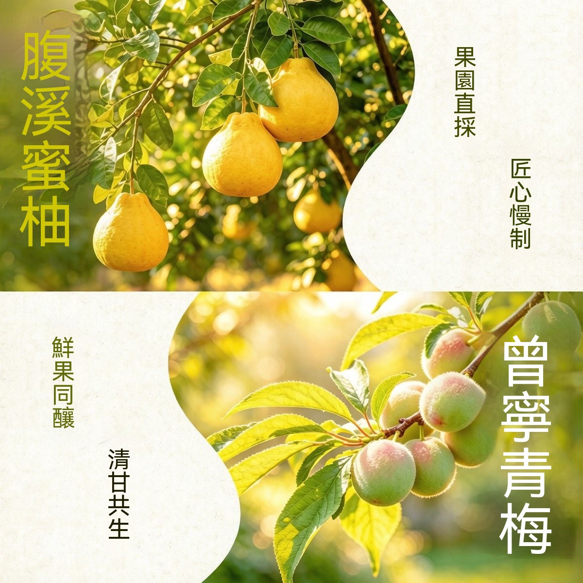 小梅屋青檸薄荷柚子條