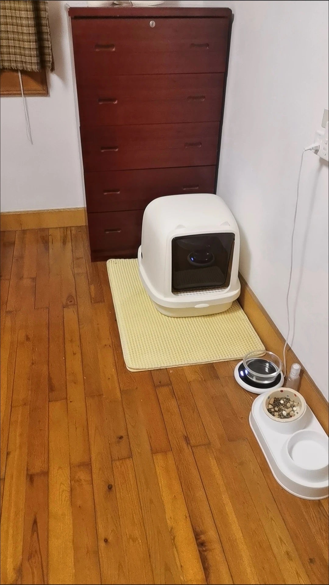 雙層蜂窩貓砂過濾墊