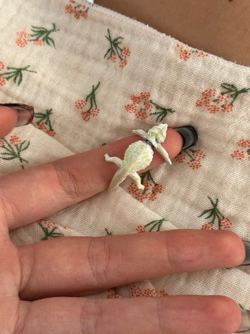 創意蜥蜴造型耳環