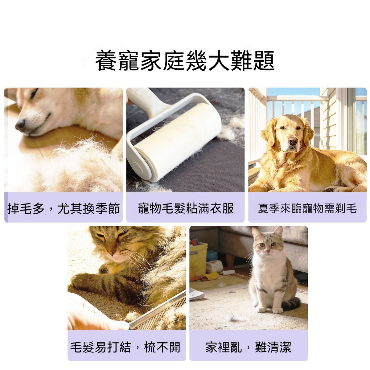 5合1多功能寵物理毛吸毛一體機