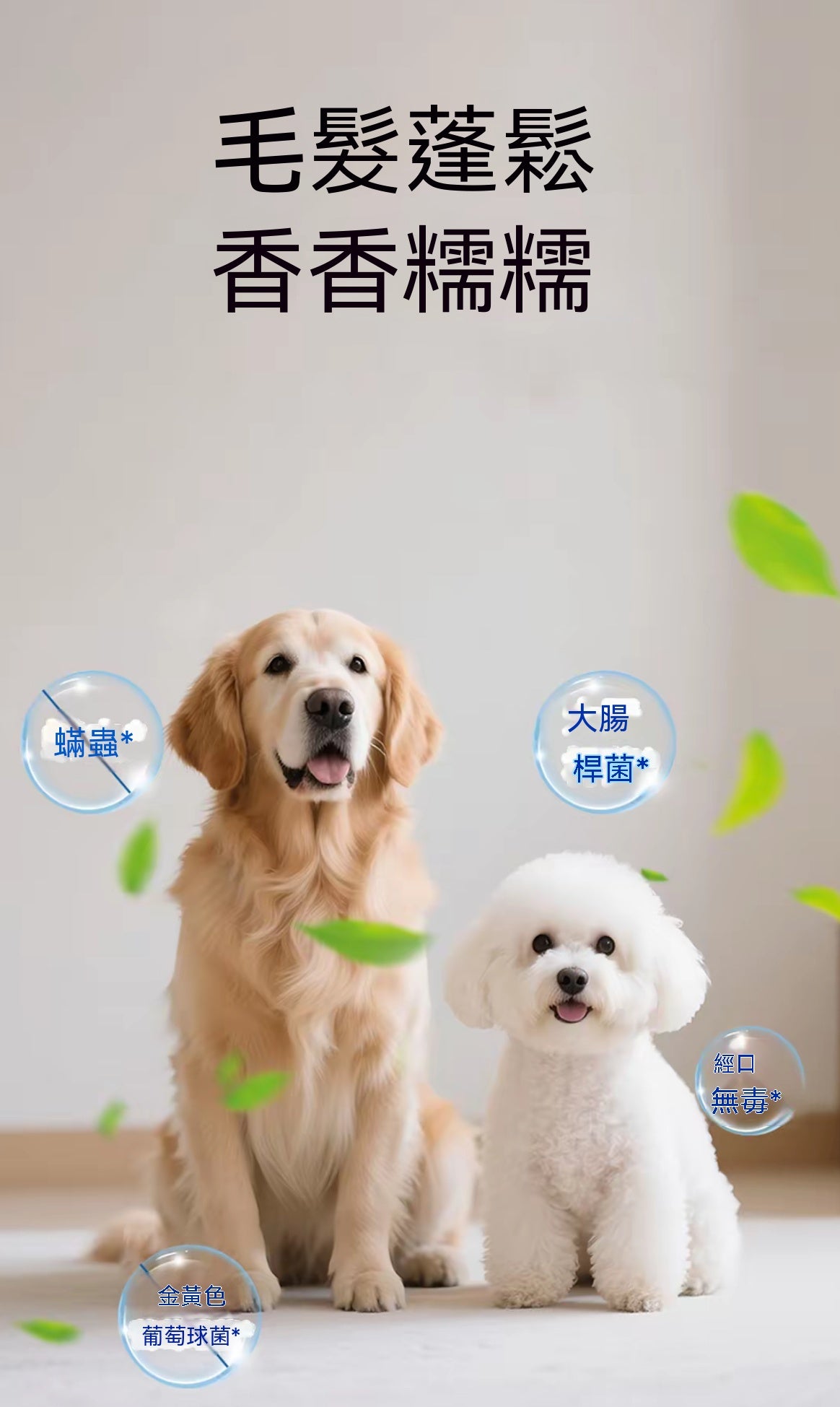 寵物免洗擦浴精華液