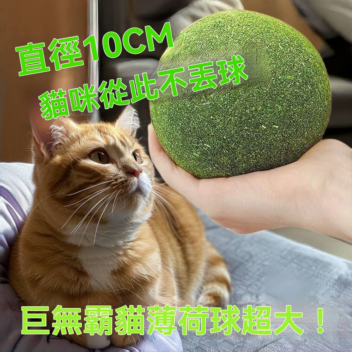 巨無霸貓薄荷球