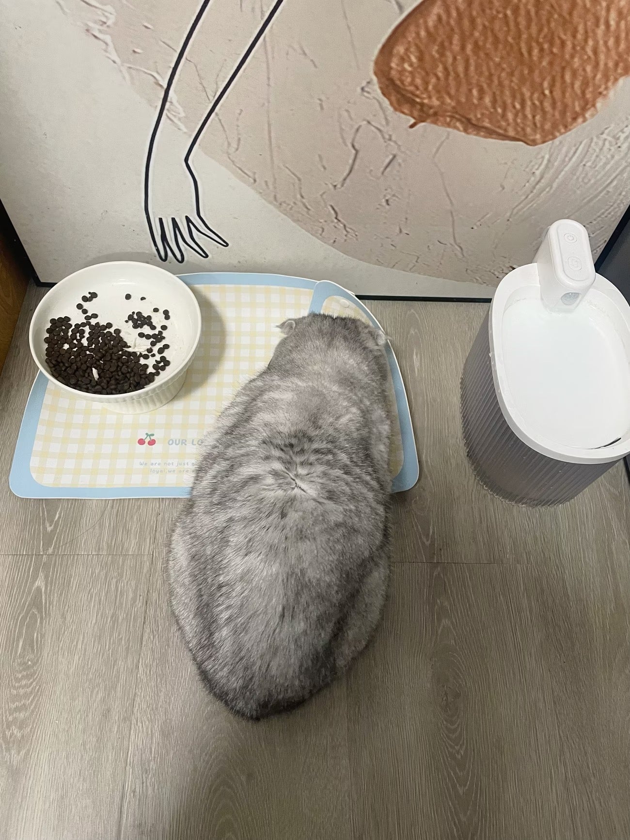 PU皮革寵物防灑餐墊