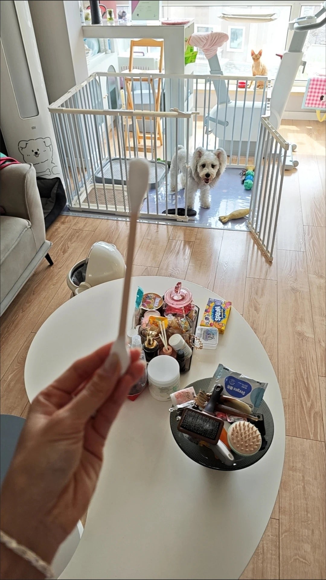 羊毛氈大棉簽逗貓棒