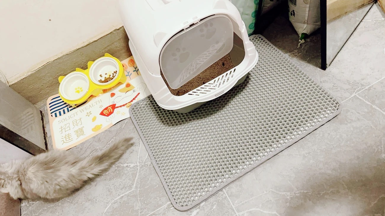 雙層蜂窩貓砂過濾墊