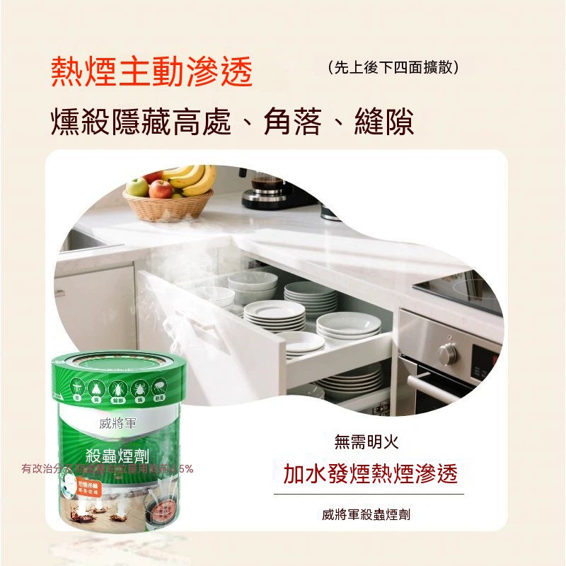 煙霧式殺蟑煙燻劑