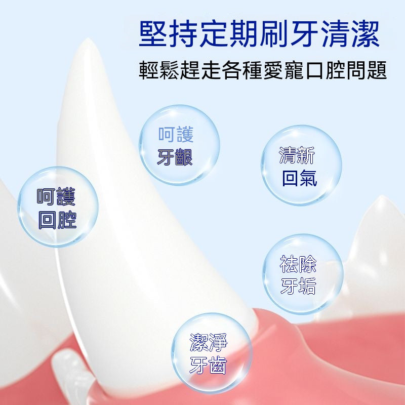 貓犬通用除口臭潔齒工具
