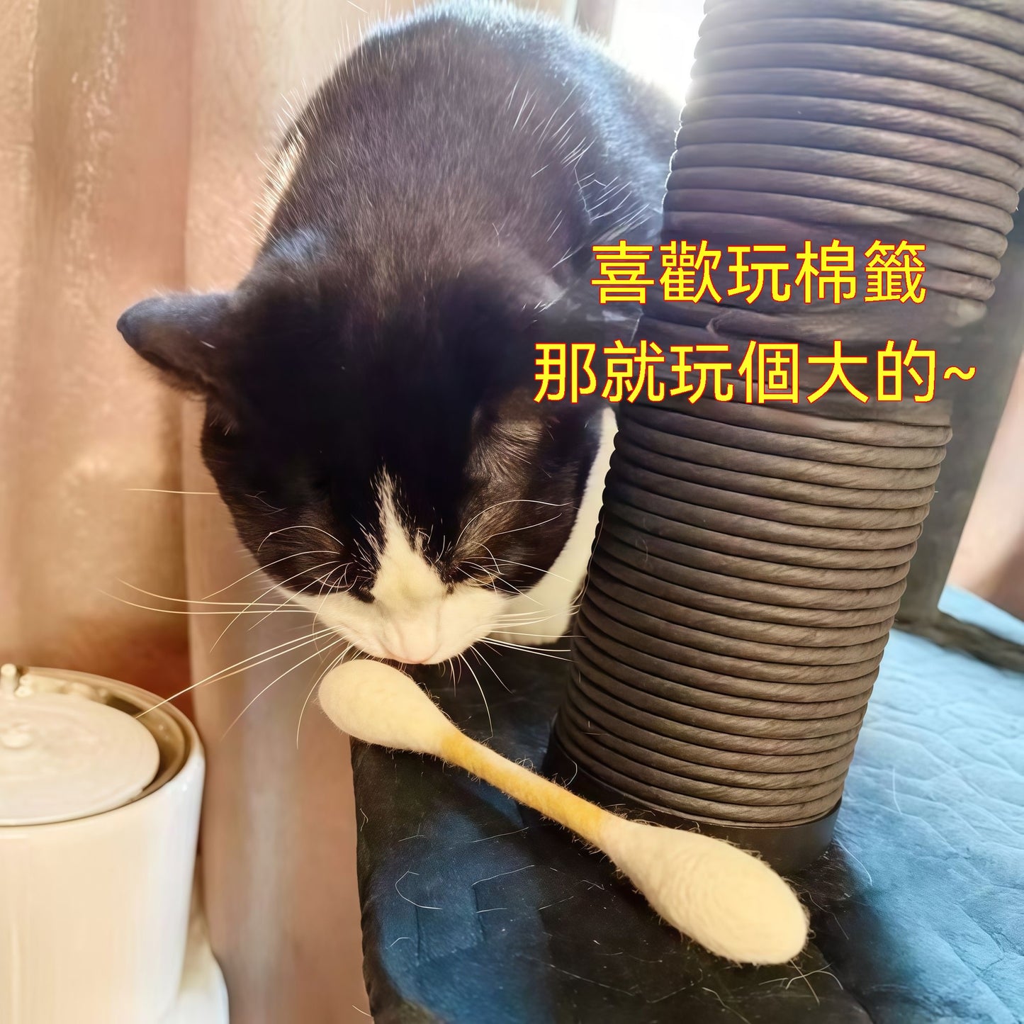 羊毛氈大棉簽逗貓棒